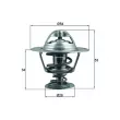 Thermostat d'eau MAHLE TX 203 88D - Visuel 1