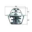 Thermostat d'eau MAHLE TX 204 82D - Visuel 1
