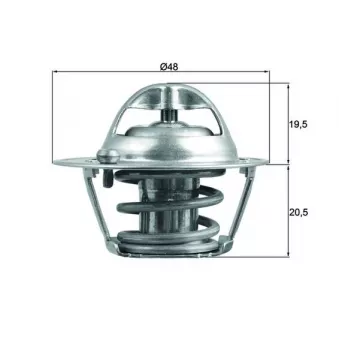 Thermostat d'eau MAHLE TX 204 82D