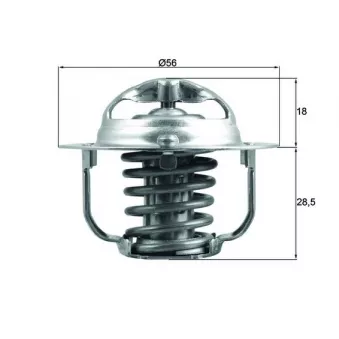 Thermostat d'eau MAHLE TX 208 91D