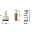 Thermostat d'eau MAHLE TX 209 80D - Visuel 1