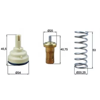 Thermostat d'eau MAHLE
