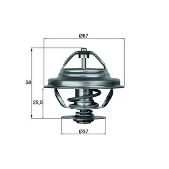 Thermostat d'eau MAHLE TX 21 80D