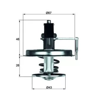 Thermostat d'eau MAHLE TX 22 75D