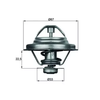 Thermostat d'eau MAHLE TX 24 87D