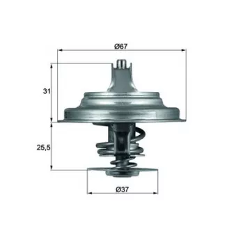 Thermostat d'eau MAHLE TX 25 80D