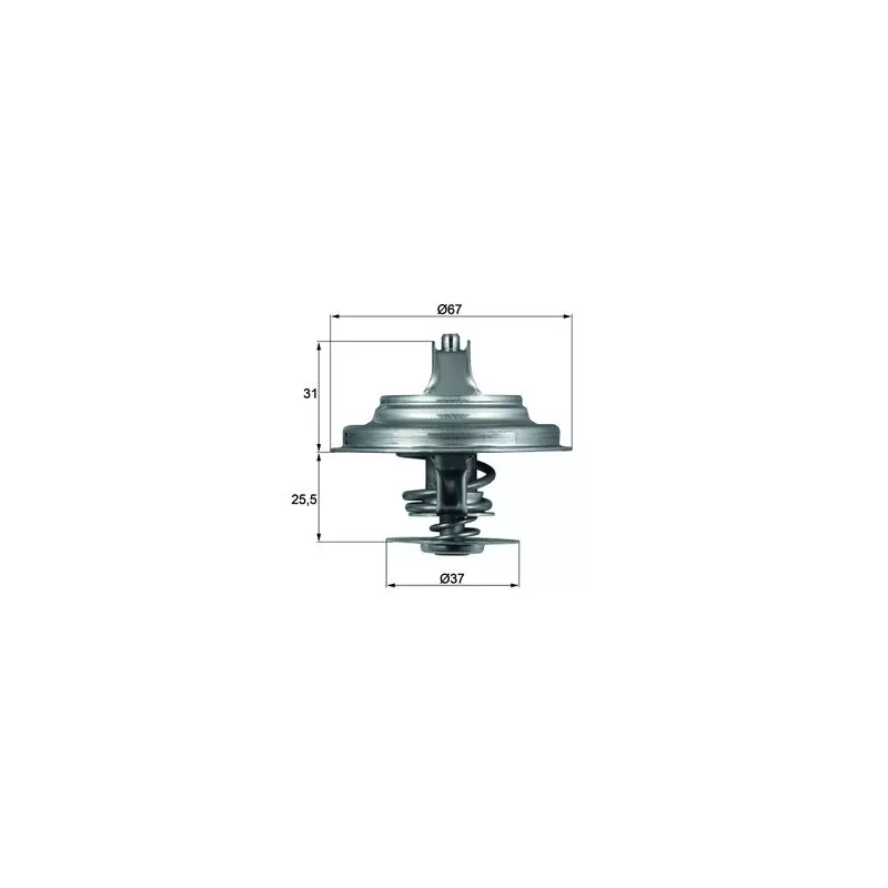 Thermostat d'eau MAHLE TX 25 80D