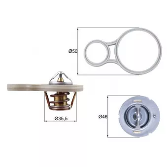 Thermostat d'eau MAHLE TX 255 91