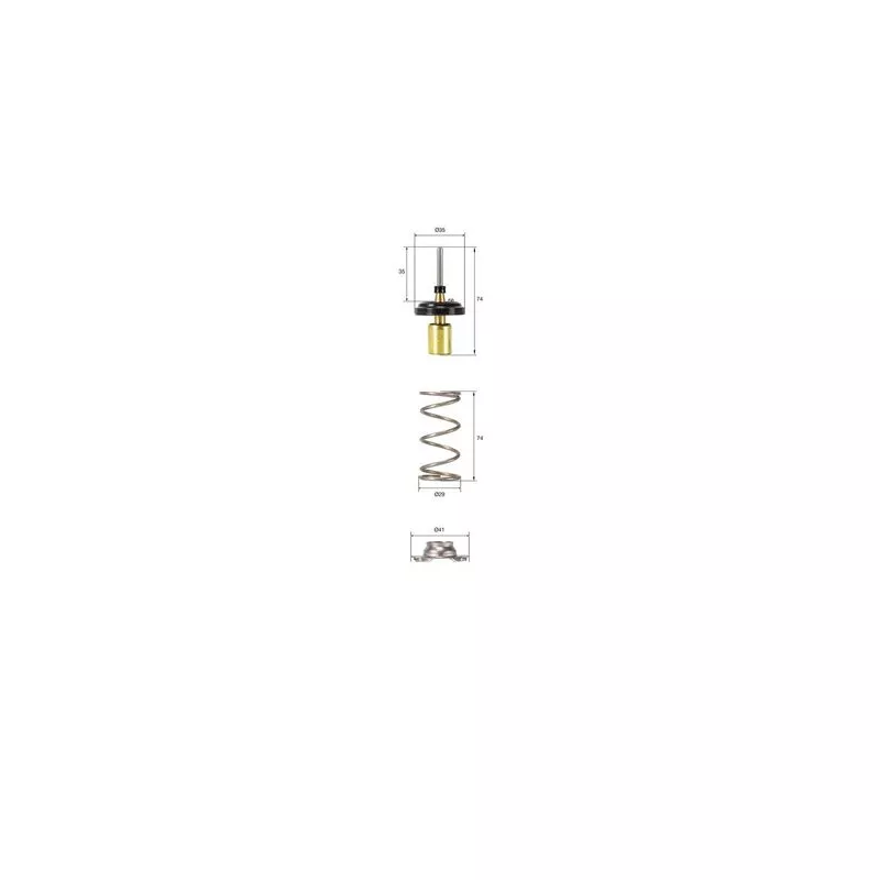 Thermostat d'eau MAHLE TX 257 82D
