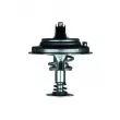 Thermostat d'eau MAHLE TX 26 80D - Visuel 2