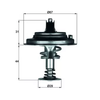 Thermostat d'eau MAHLE