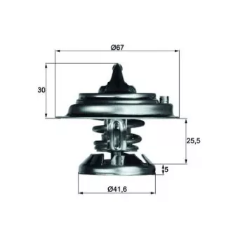 Thermostat d'eau MAHLE TX 29 80D