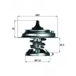 Thermostat d'eau MAHLE TX 29 85D - Visuel 1