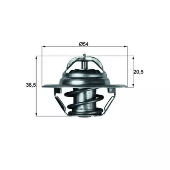 Thermostat d'eau MAHLE TX 3 79D