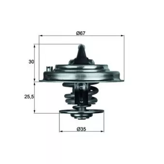 Thermostat d'eau MAHLE TX 30 80D