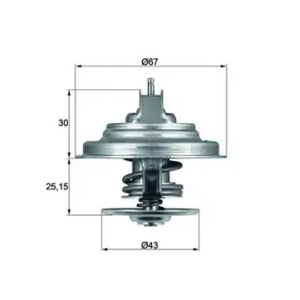 Thermostat d'eau MAHLE TX 31 92D