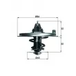 Thermostat d'eau MAHLE TX 36 80D - Visuel 1