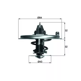 Thermostat d'eau MAHLE TX 36 80D