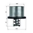 Thermostat d'eau MAHLE TX 37 79 - Visuel 1