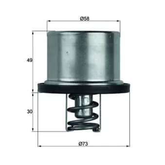 Thermostat d'eau MAHLE TX 37 79
