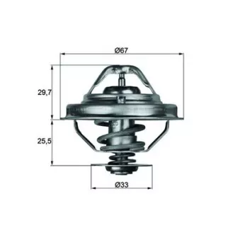 Thermostat d'eau MAHLE