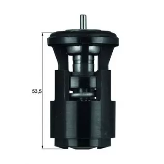 Thermostat d'eau MAHLE TX 41 80D