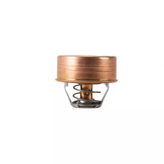 Thermostat, liquide de refroidissement MAHLE TX 468 75