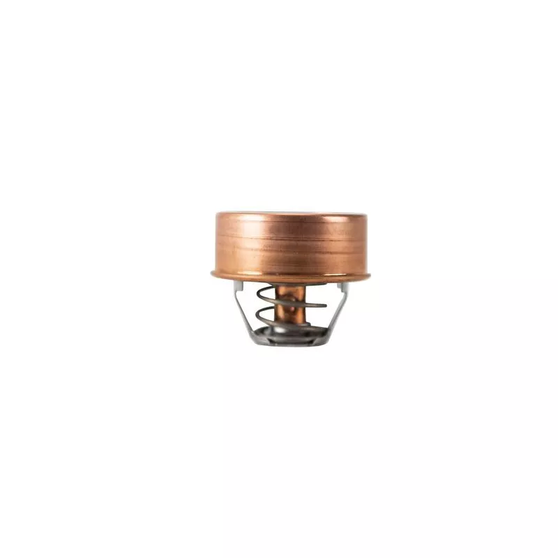 Thermostat, liquide de refroidissement MAHLE TX 468 75