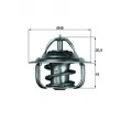 Thermostat d'eau MAHLE TX 5 92D - Visuel 1