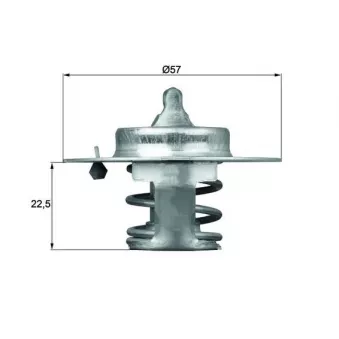 Thermostat d'eau MAHLE TX 60 83D