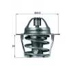 Thermostat d'eau MAHLE TX 61 83 - Visuel 1