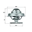 Thermostat d'eau MAHLE TX 62 89 - Visuel 1