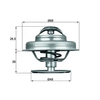 Thermostat d'eau MAHLE TX 62 89