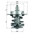 Thermostat d'eau MAHLE TX 63 83 - Visuel 1