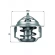 Thermostat d'eau MAHLE TX 64 82 - Visuel 1