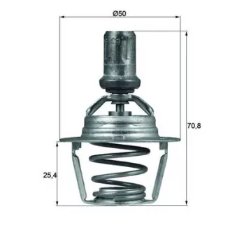 Thermostat d'eau MAHLE TX 66 86D