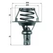Thermostat d'eau MAHLE TX 66 91D - Visuel 1
