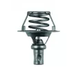 Thermostat d'eau MAHLE TX 66 91D - Visuel 2