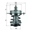 Thermostat d'eau MAHLE TX 69 79 - Visuel 1