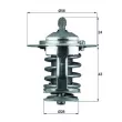 Thermostat d'eau MAHLE TX 70 82 - Visuel 1