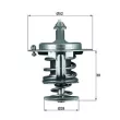Thermostat d'eau MAHLE TX 71 82D - Visuel 1