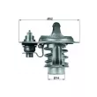 Thermostat d'eau MAHLE TX 76 88D - Visuel 1