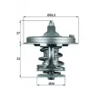 Thermostat d'eau MAHLE TX 78 83 - Visuel 1