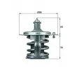 Thermostat d'eau MAHLE TX 79 78D - Visuel 1