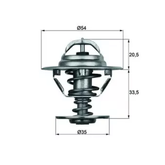 Thermostat d'eau MAHLE TX 8 88D