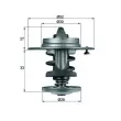 Thermostat d'eau MAHLE TX 80 83 - Visuel 1