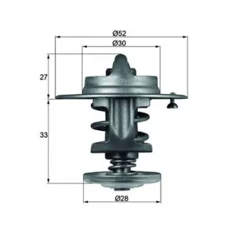 Thermostat d'eau MAHLE