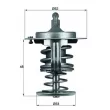 Thermostat d'eau MAHLE TX 82 80D - Visuel 1