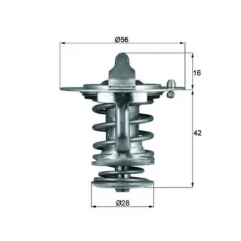 Thermostat d'eau MAHLE TX 83 76D