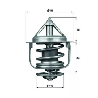 Thermostat d'eau MAHLE TX 87 77D